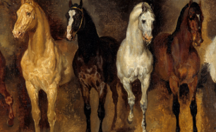 O cavalo e a humanidade: Como os equinos ajudaram na construo da histria